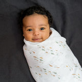 Lulujo - Cotton Swaddle - Fish & Navy Gingham - 2 Pack