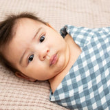 Lulujo - Cotton Swaddle - Fish & Navy Gingham - 2 Pack