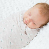 Lulujo - Cotton Swaddle - Vintage Floral & Dragonfly - 2 Pack